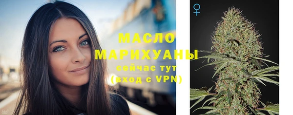 индика Надым