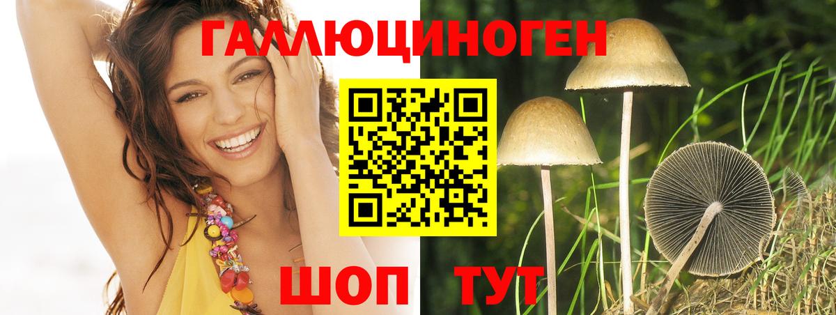 Псилоцибиновые грибы Psilocybe Старая Купавна