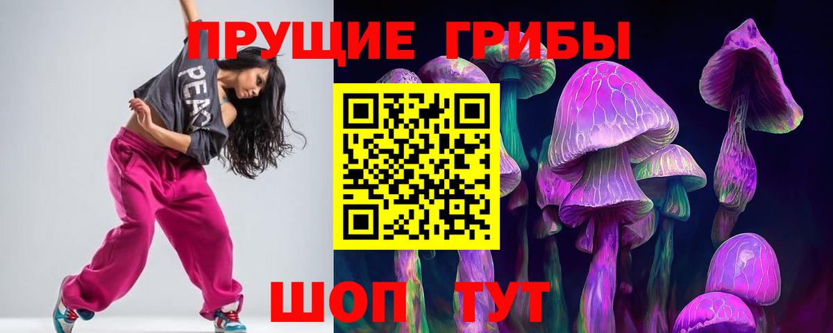 Псилоцибиновые грибы Psilocybe  Старая Купавна 
